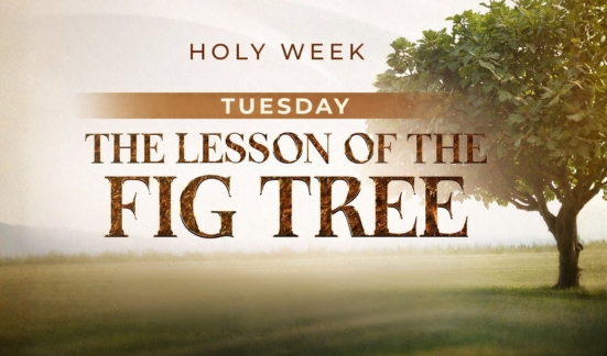 Holy Week: The Lesson of the Fig Tree