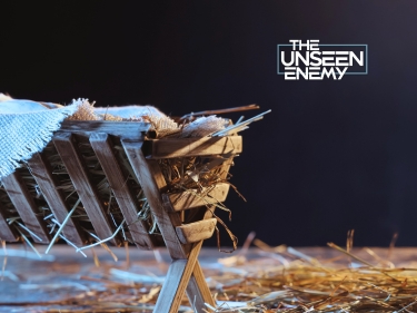 Why Jesus Came: From Birth to Victory Over the Unseen Enemy