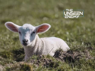 What the Bible Teaches About the New Year