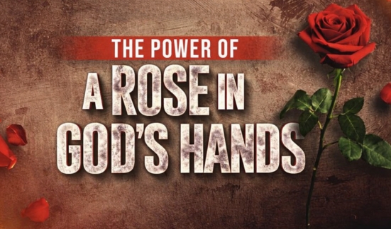 The Power of a Rose in God&rsquo;s Hands