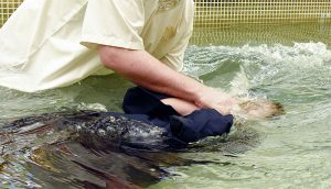 Baptism in Water: The Beginning of a New Life