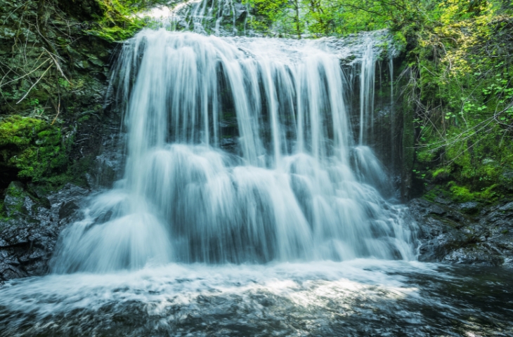 Come and Drink From the Water