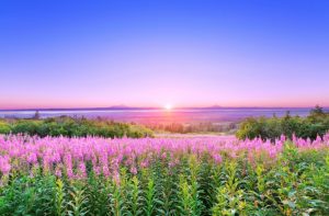 The Glory of God