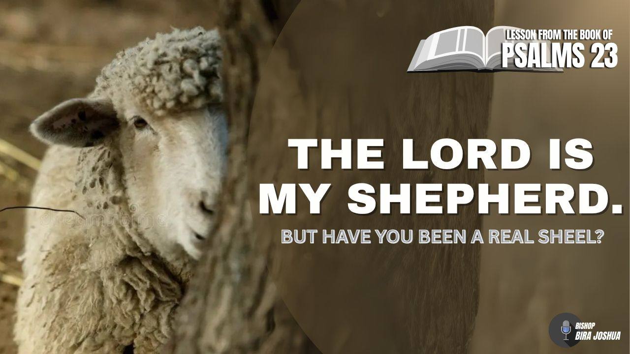 Lesson From Psalm 23