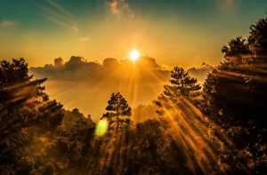Forsaking the Lord