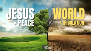 The World Offers Pleasure—Only Jesus Gives Peace