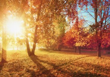 Is It Possible to Benefit From Suffering?