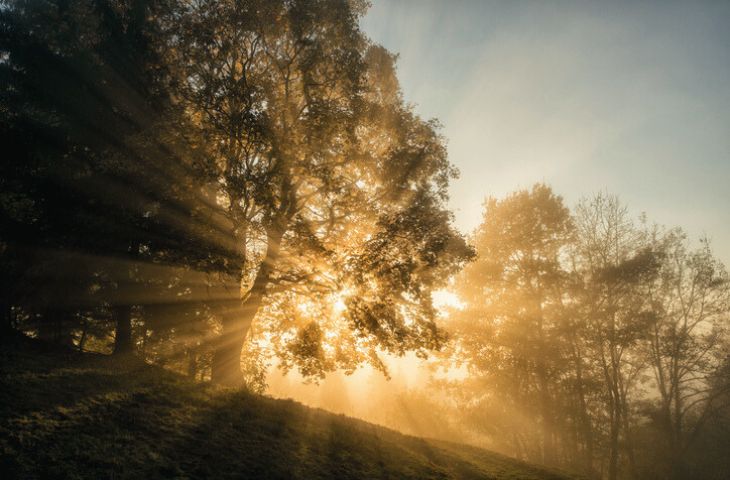 Light of the World