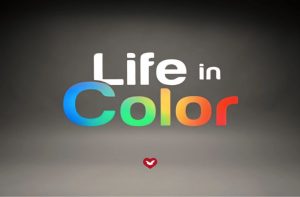 Life in Color
