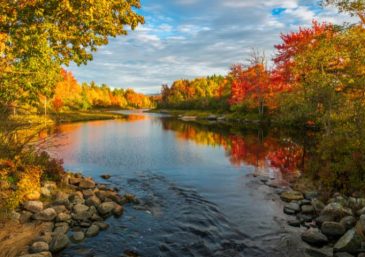 “I Should Have Been Dead by Now”