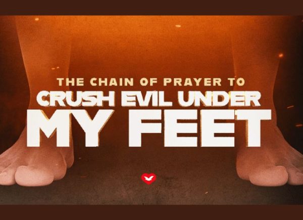 The Universal Church