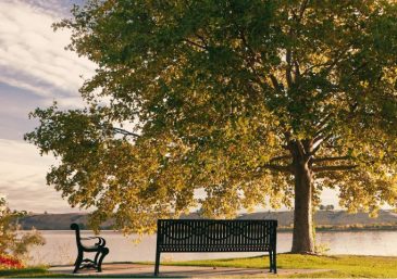 Highlights of &lsquo;A Sunday to Return to the Fold&rsquo; Event