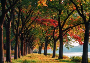 Universal News Ed. 637