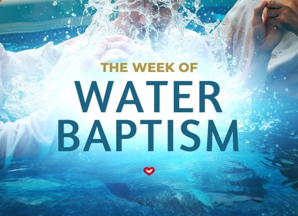 The Universal Church