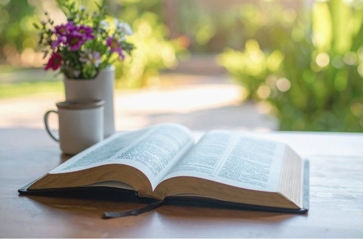 Deliverance From Vanity