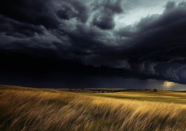 Wisdom&rsquo;s Voice