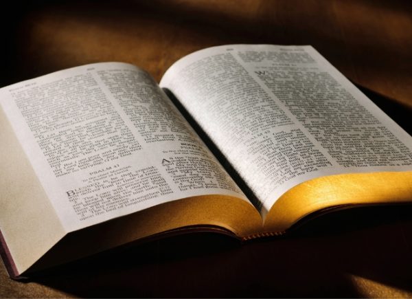 The Universal Church