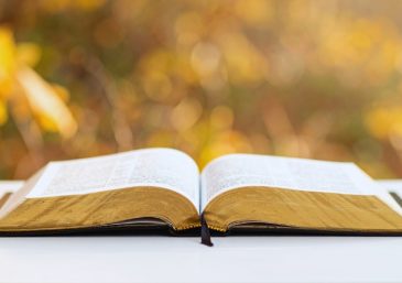 Don&rsquo;t Quit Now