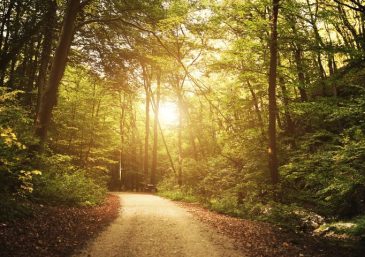 The Universal Church Celebrates Its 47th Anniversary