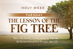 Holy Week: The Lesson of the Fig Tree
