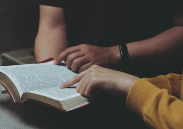 My Family at the Tree of Life