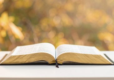 Universal News Ed. 650