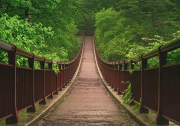 Do You Complain, Justify Yourself, or Trust in God&rsquo;s Care?