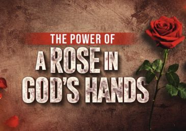 Essential Items to Be Happy in a Relationship