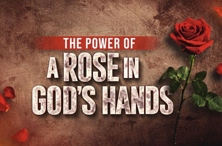 The Power of the Rose in God's Hands