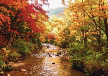 The Word of God or of Men