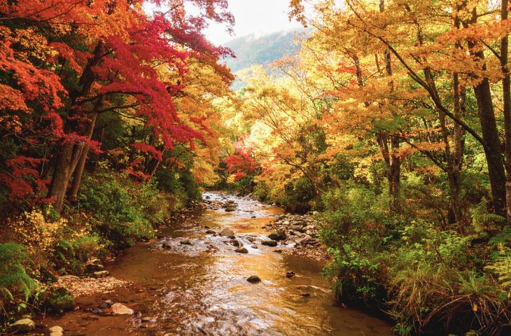 Jesus Is the One Who Baptizes