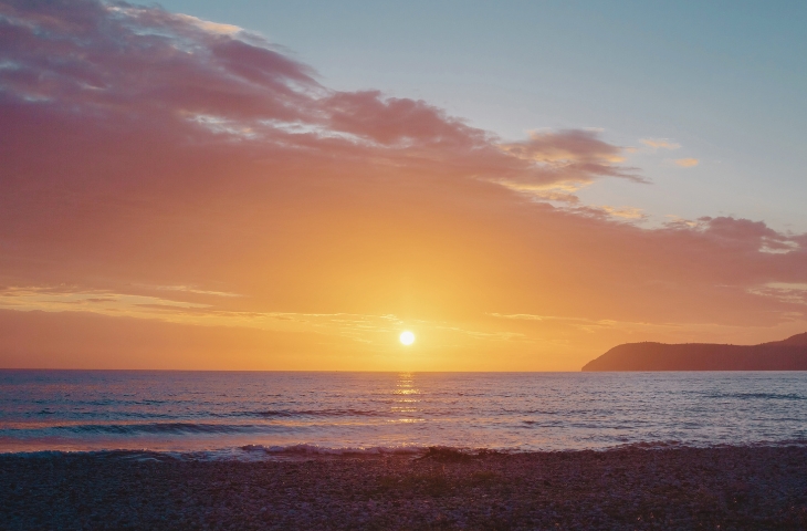 Also to the Gentiles