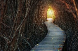 Inheriting the Blessing