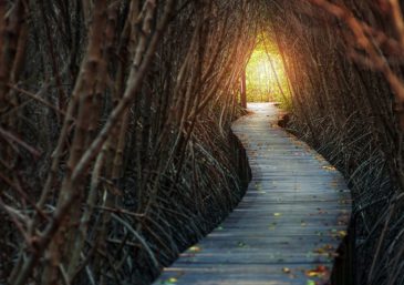 Born for the Altar: The World and the Flood