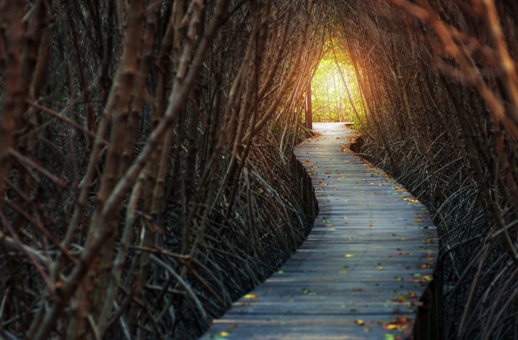 Inheriting the Blessing