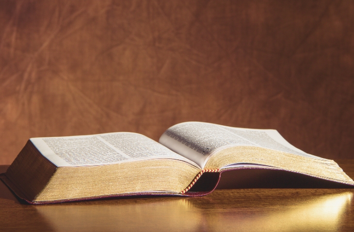 The Seed of the Word