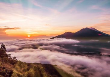 Forgiveness Is Part of the Sacrifice That Pleases God