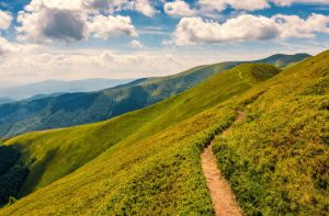 Going Away From the Path