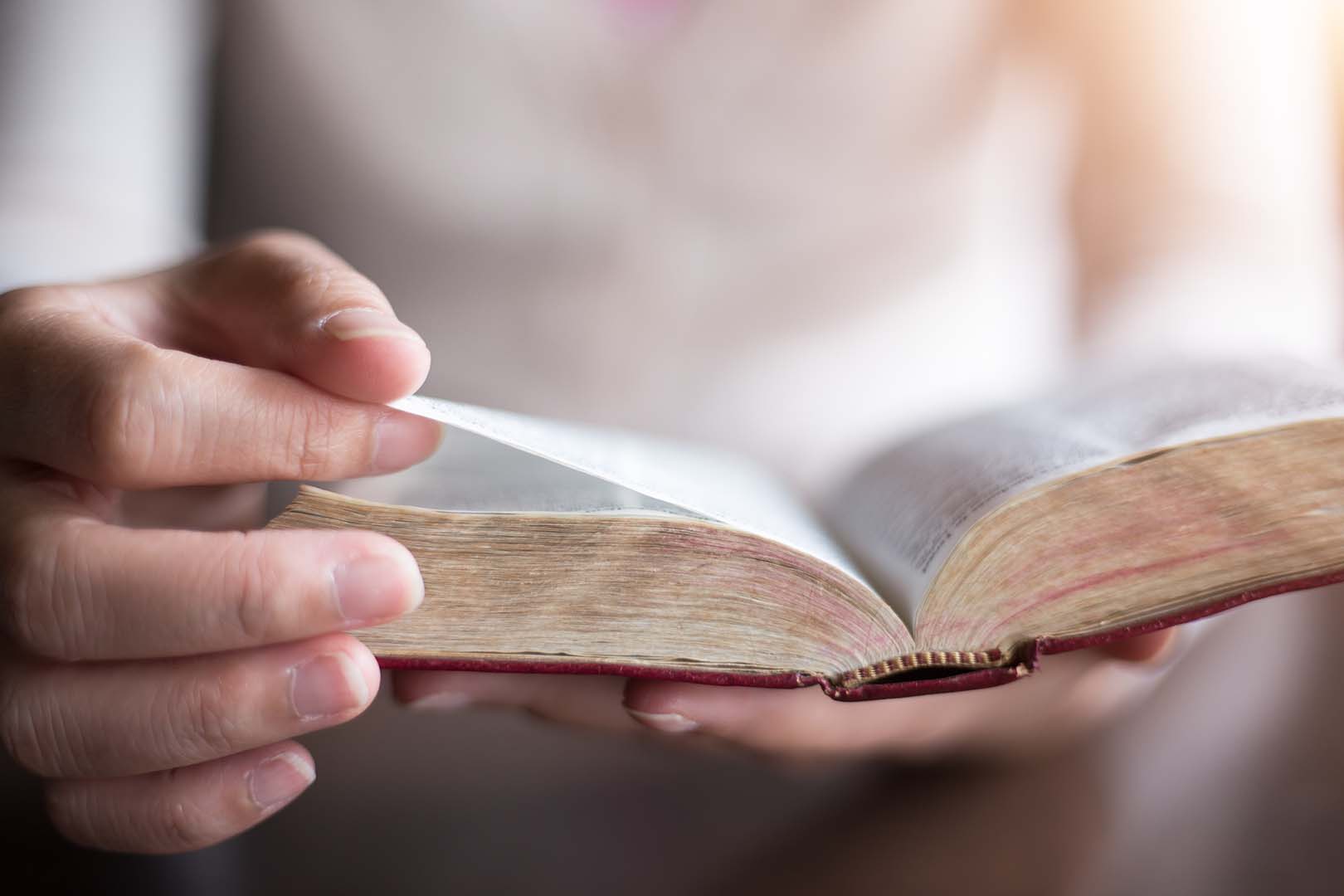 Lea la Biblia en un año : 28º día