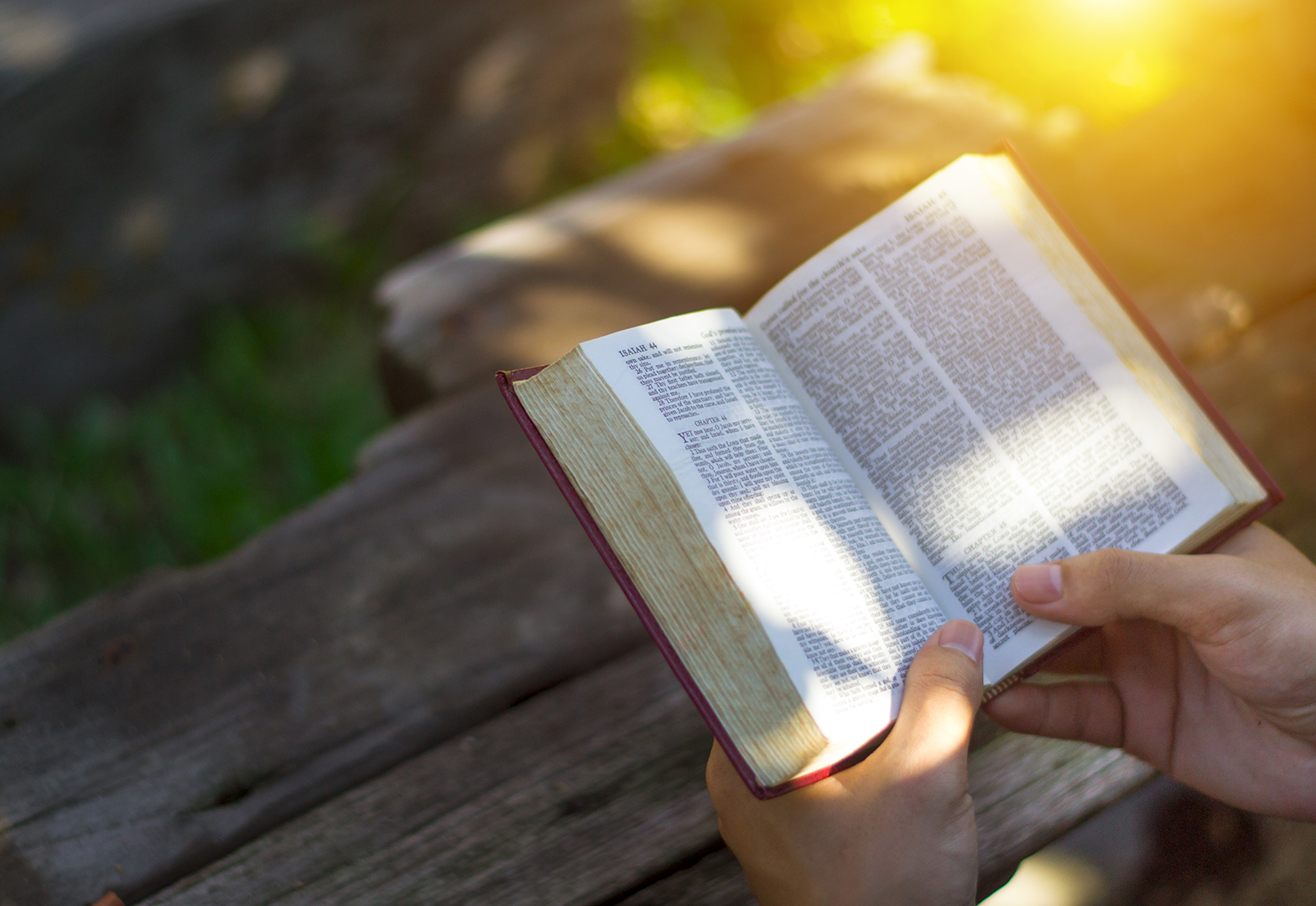 Lea la Biblia en un año : 20º día