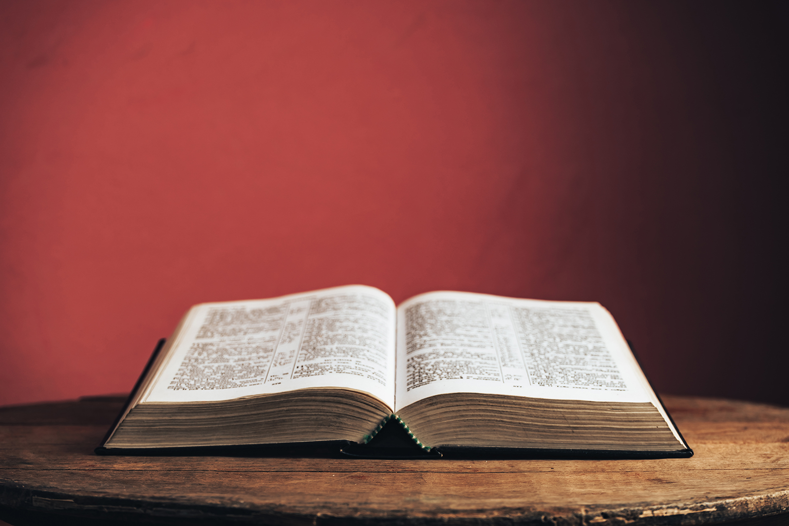 Lea la Biblia en un año : 13º día