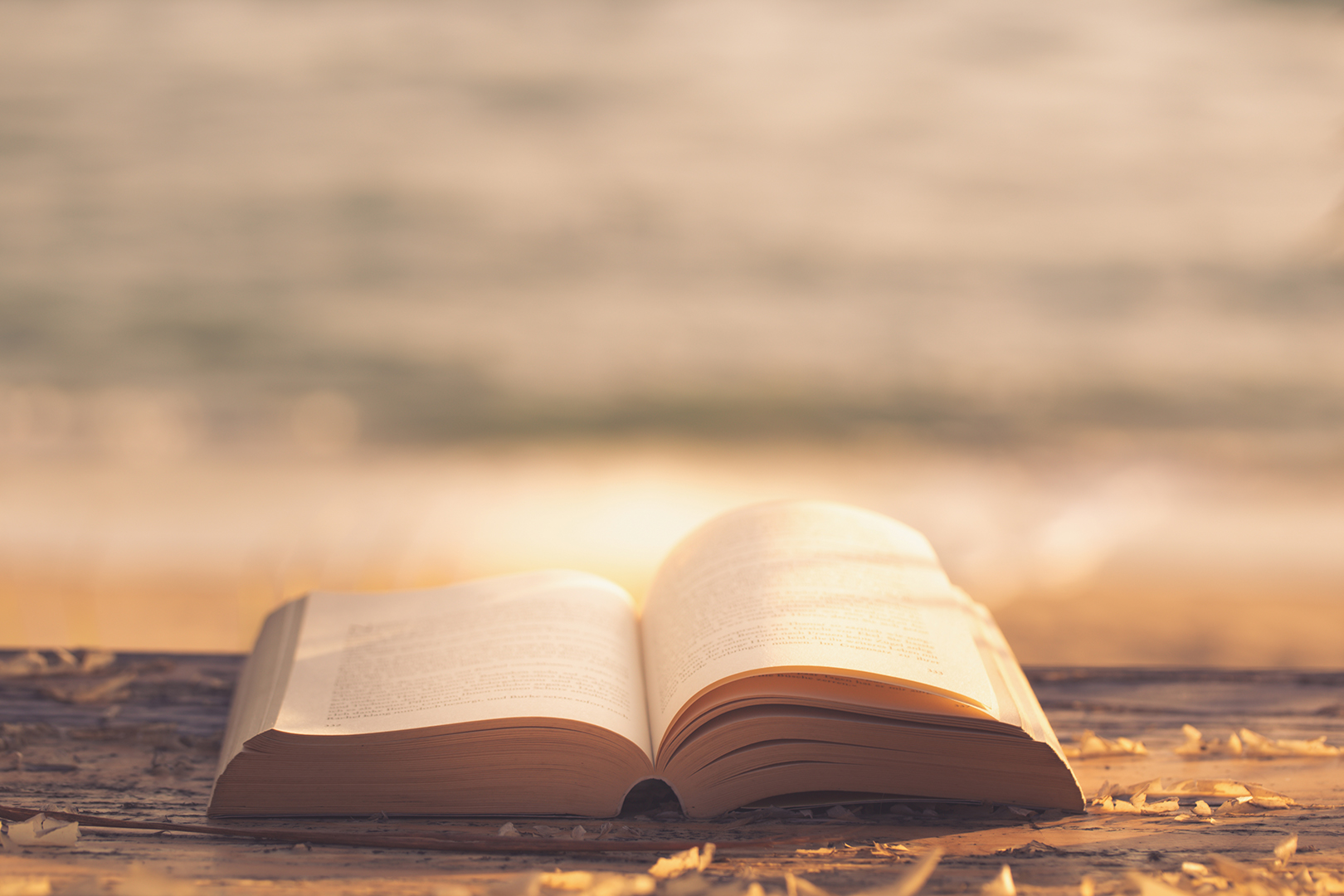 Lea la Biblia en un año : 21º día
