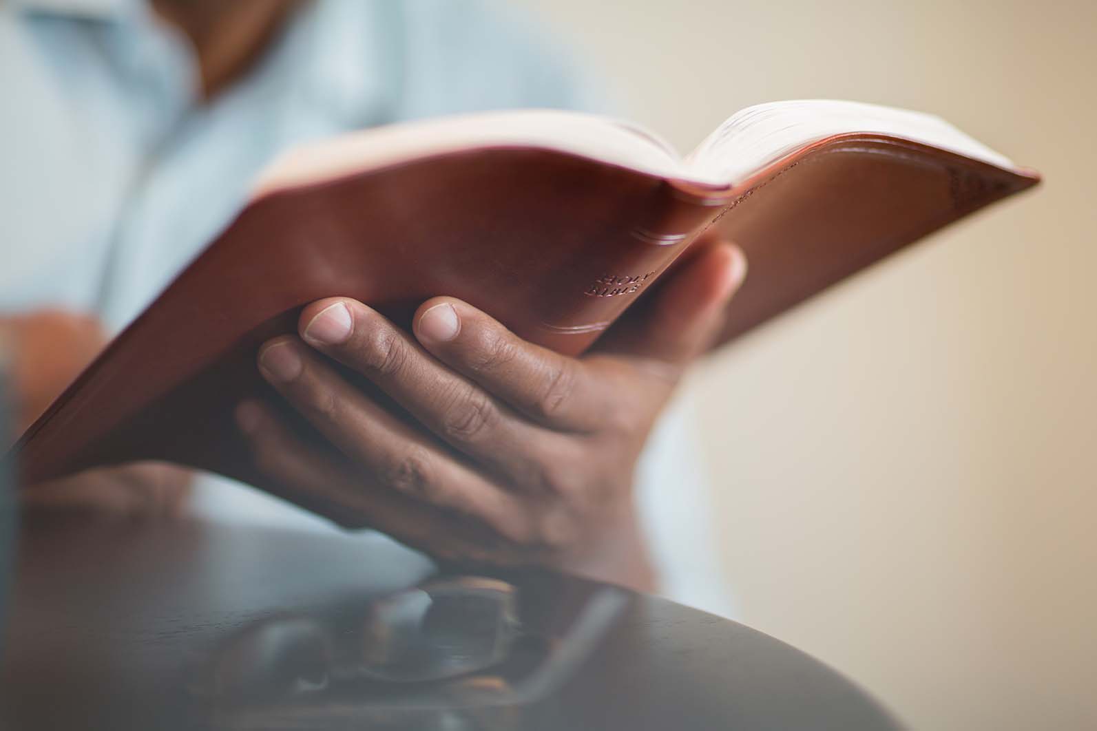 Lea la Biblia en un año : 30º día