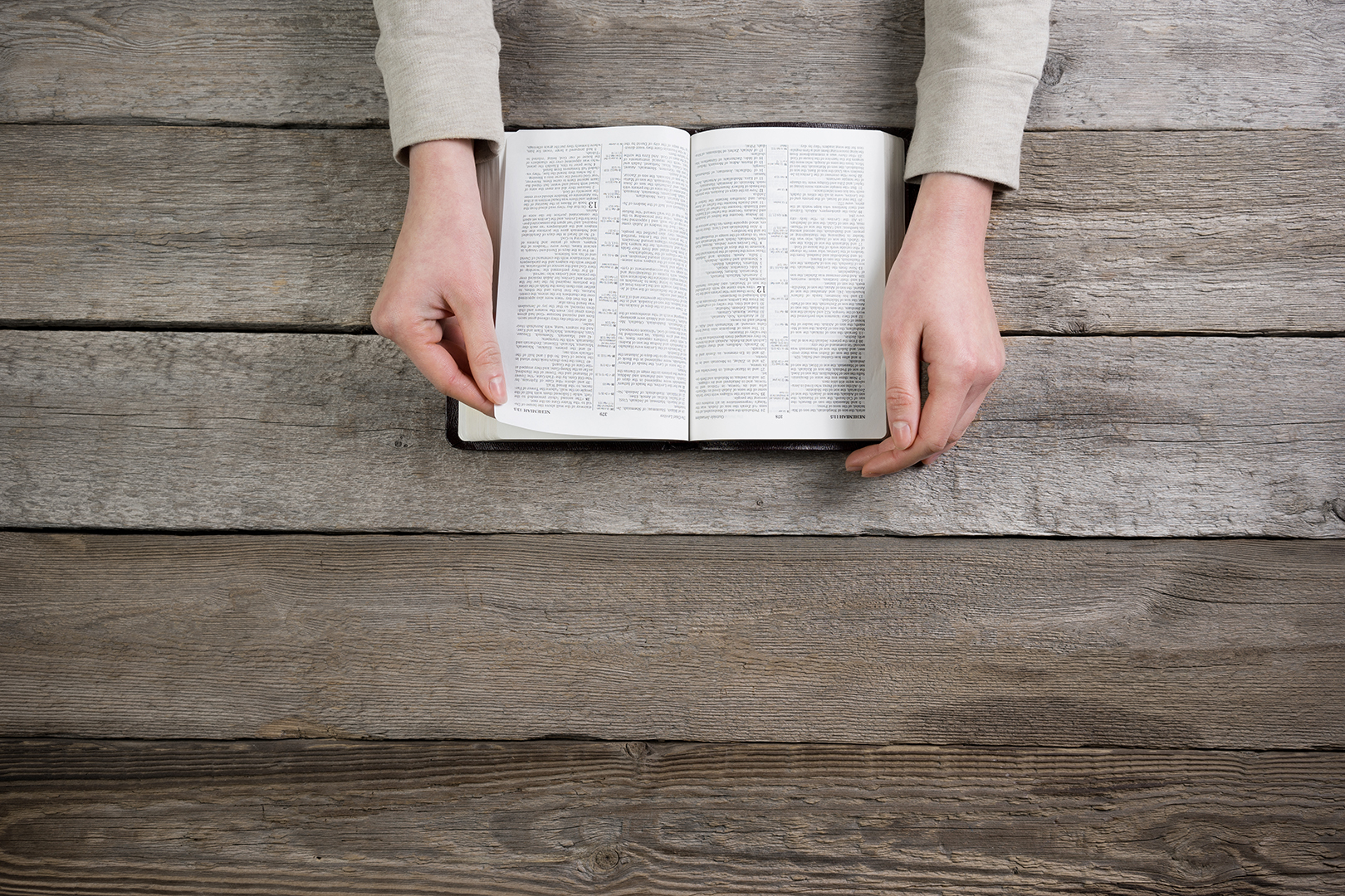 Lea la Biblia en un año : 22º día