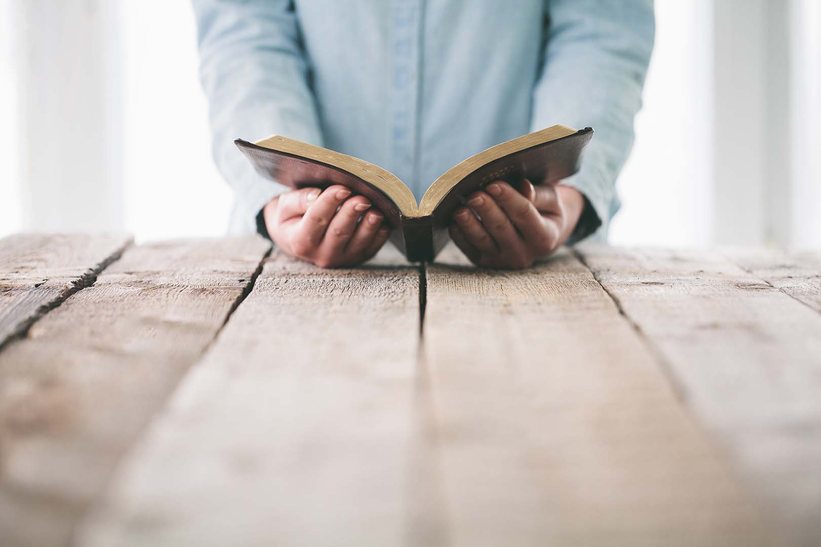 Lea la Biblia en un año : 31º día