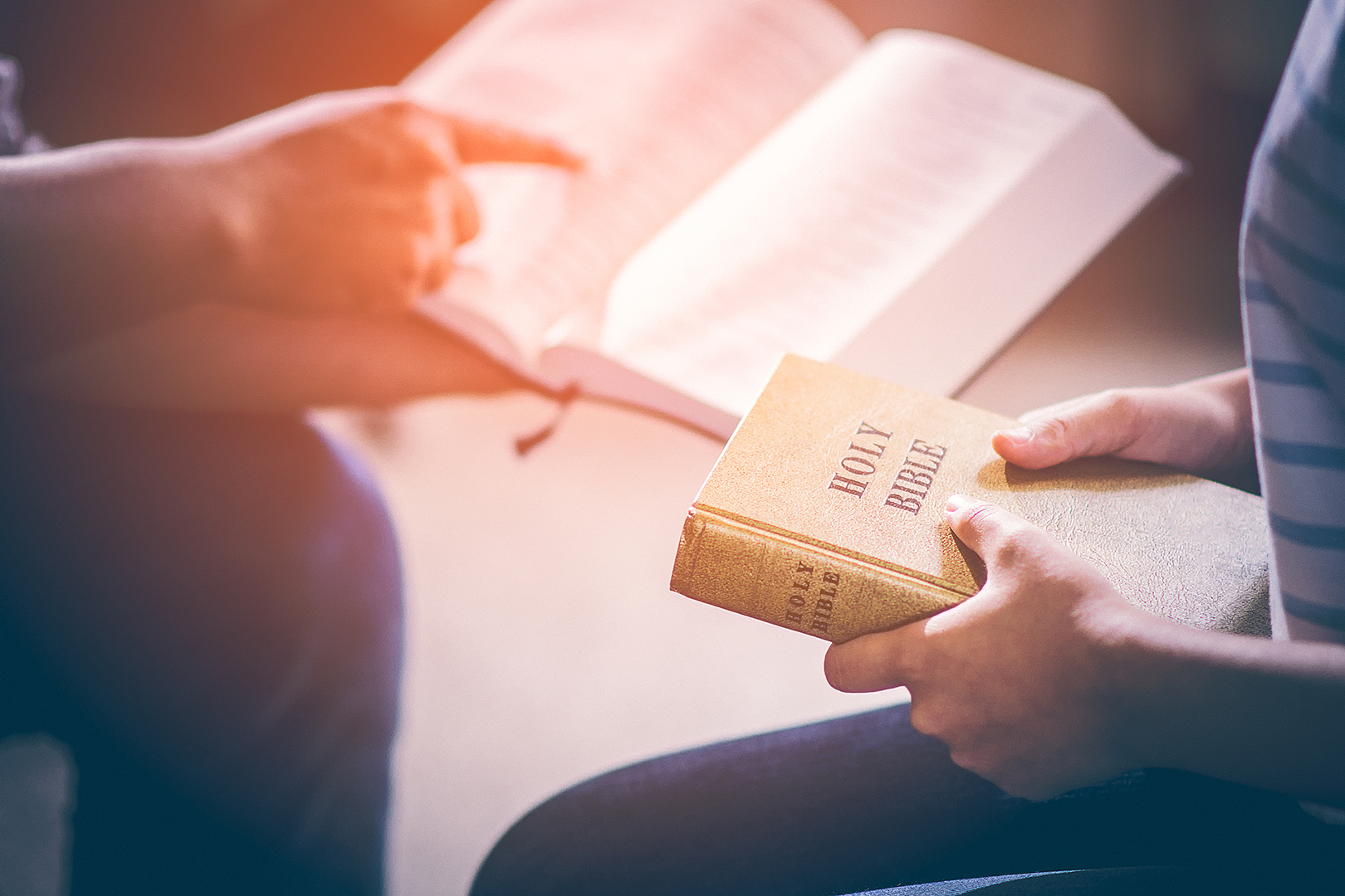 Lea la Biblia en un año : 24º día