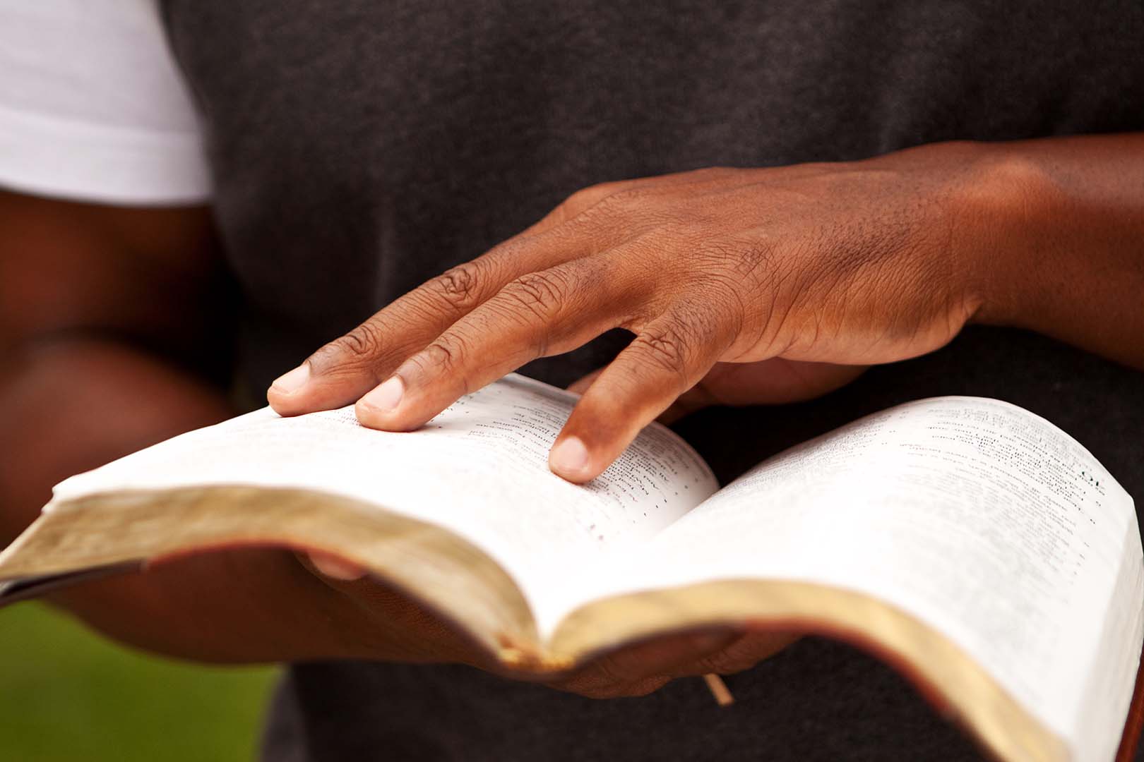 Lea la Biblia en un año : 26º día