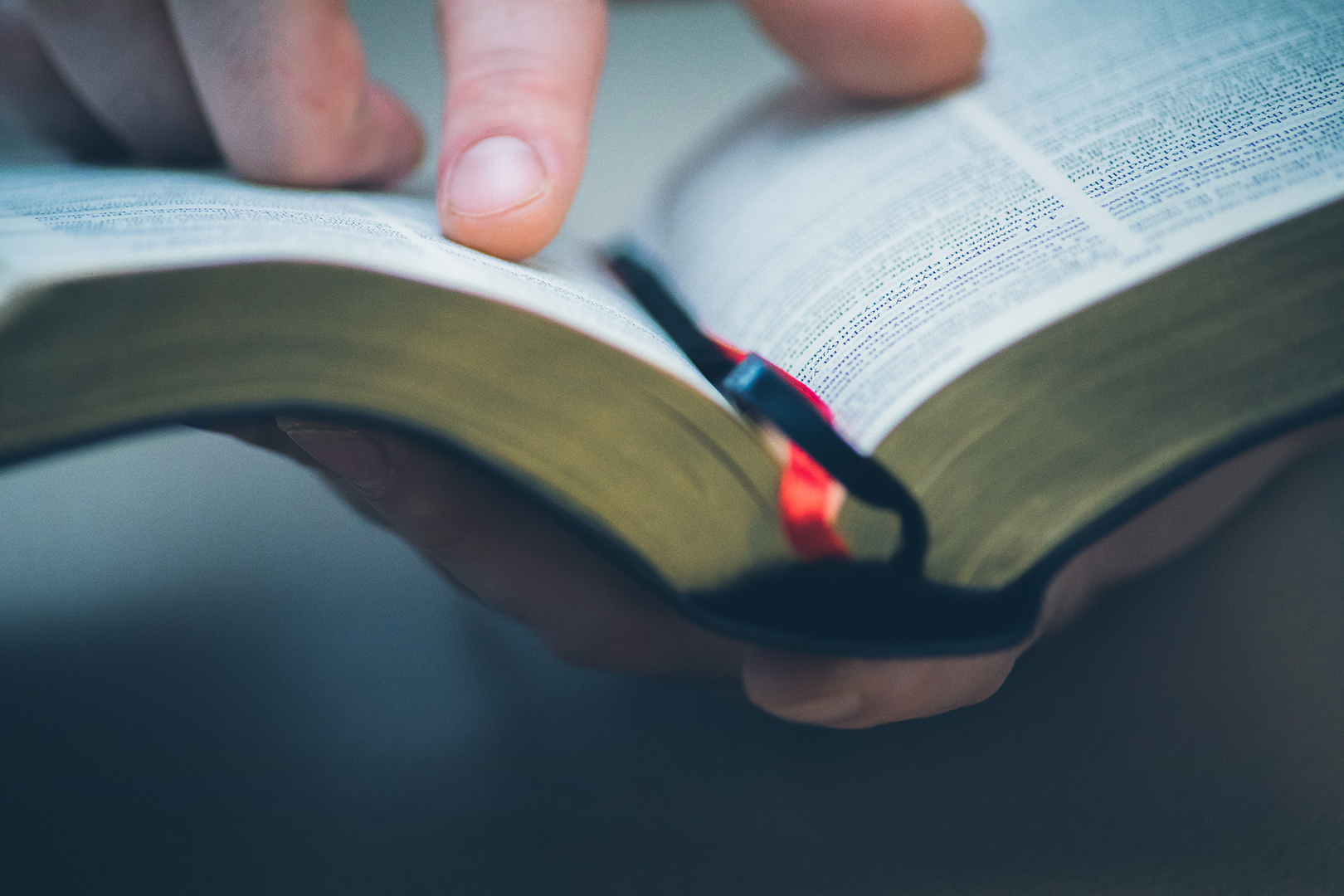 Lea la Biblia en un año : 18º día