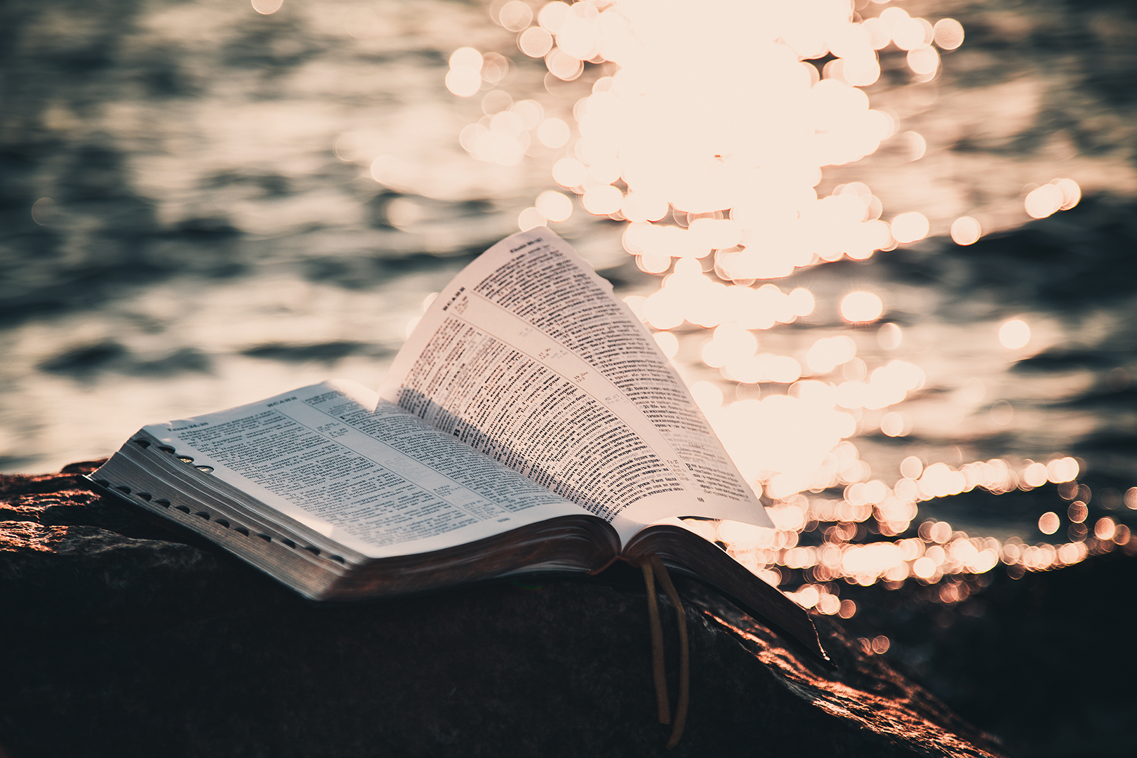 Lea la Biblia en un año : 14º día