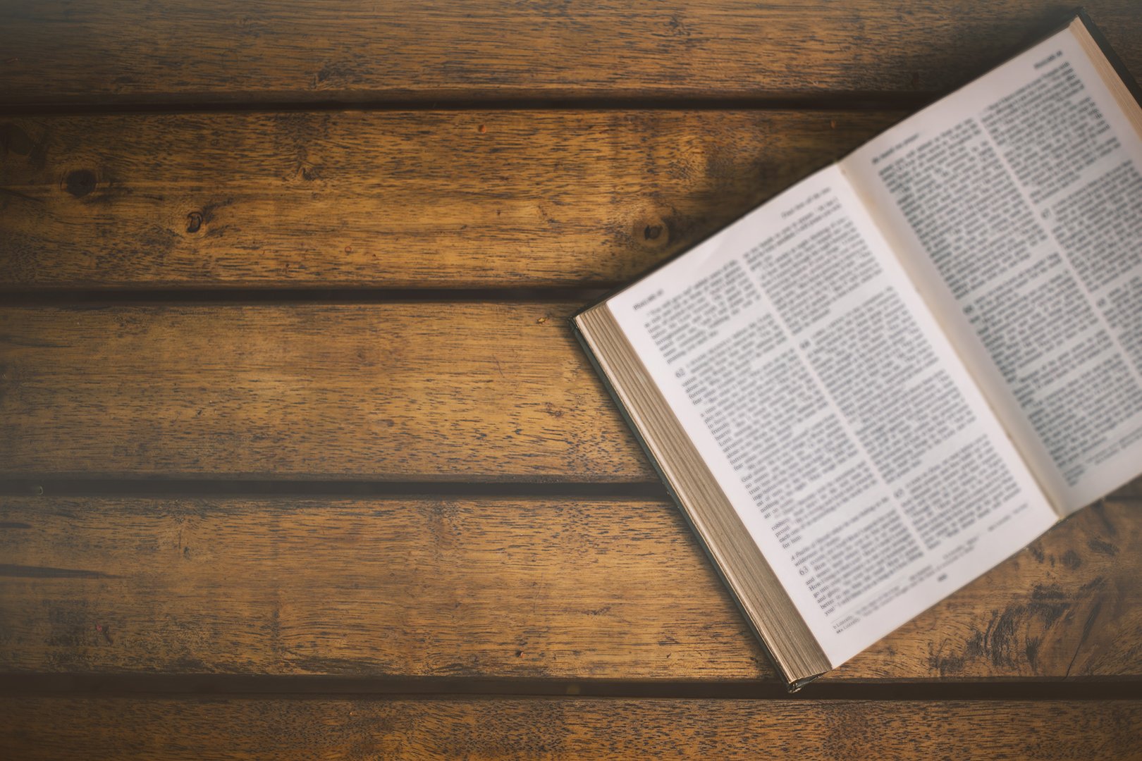 Lea la Biblia en un año : 35º día
